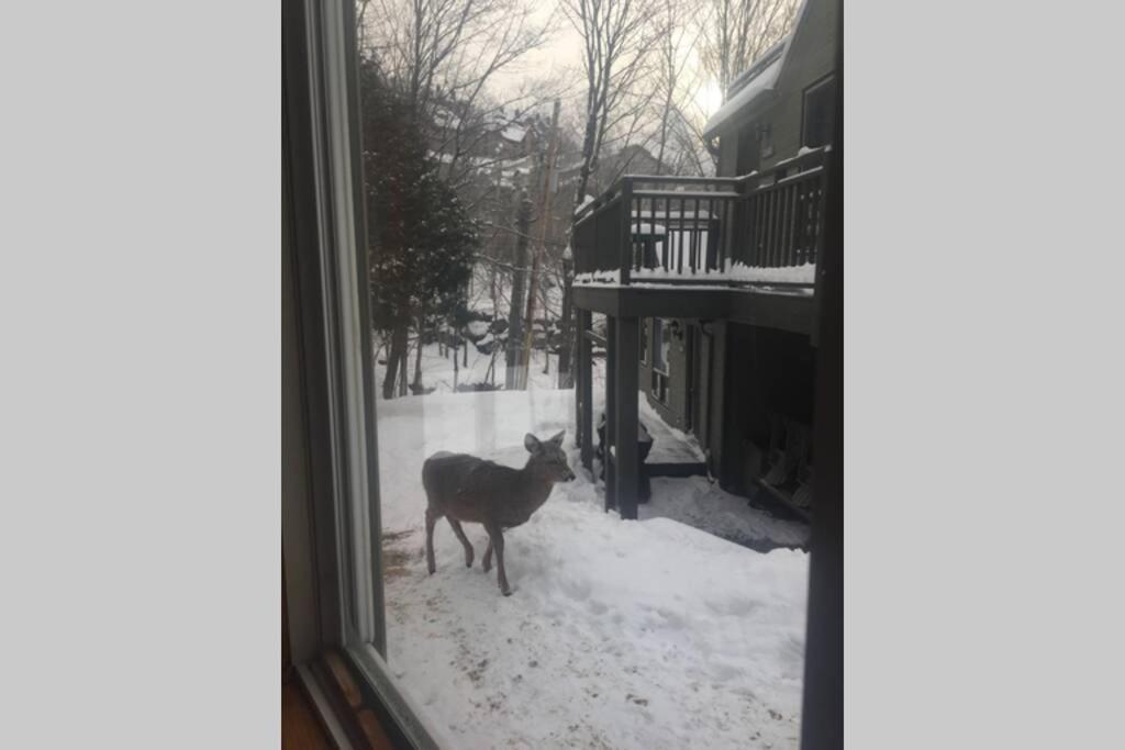Appartamento The Mountainside By Escapades Tremblant Mont-Tremblant Esterno foto