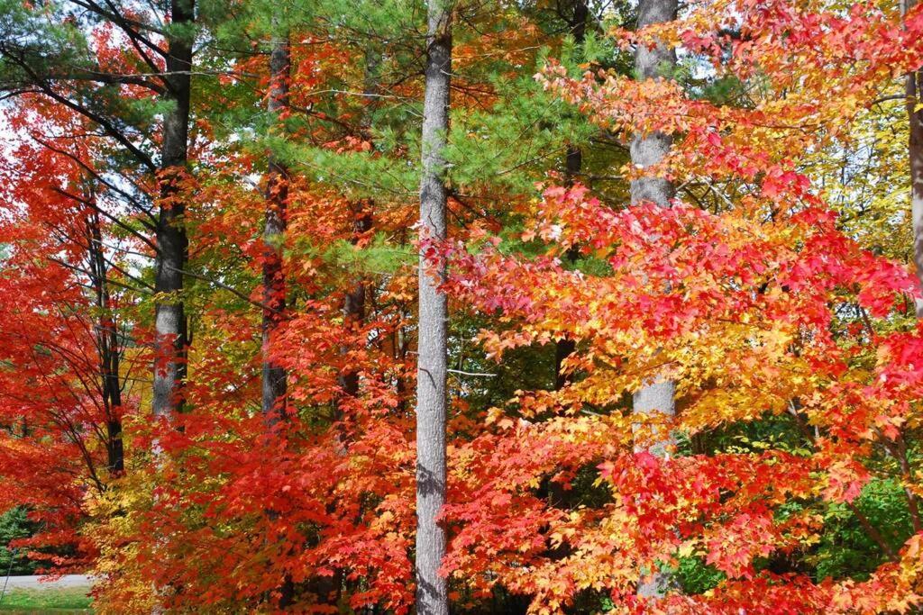 Appartamento The Mountainside By Escapades Tremblant Mont-Tremblant Esterno foto
